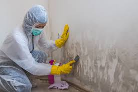 Why you should choose our mold remedi tion services in #city